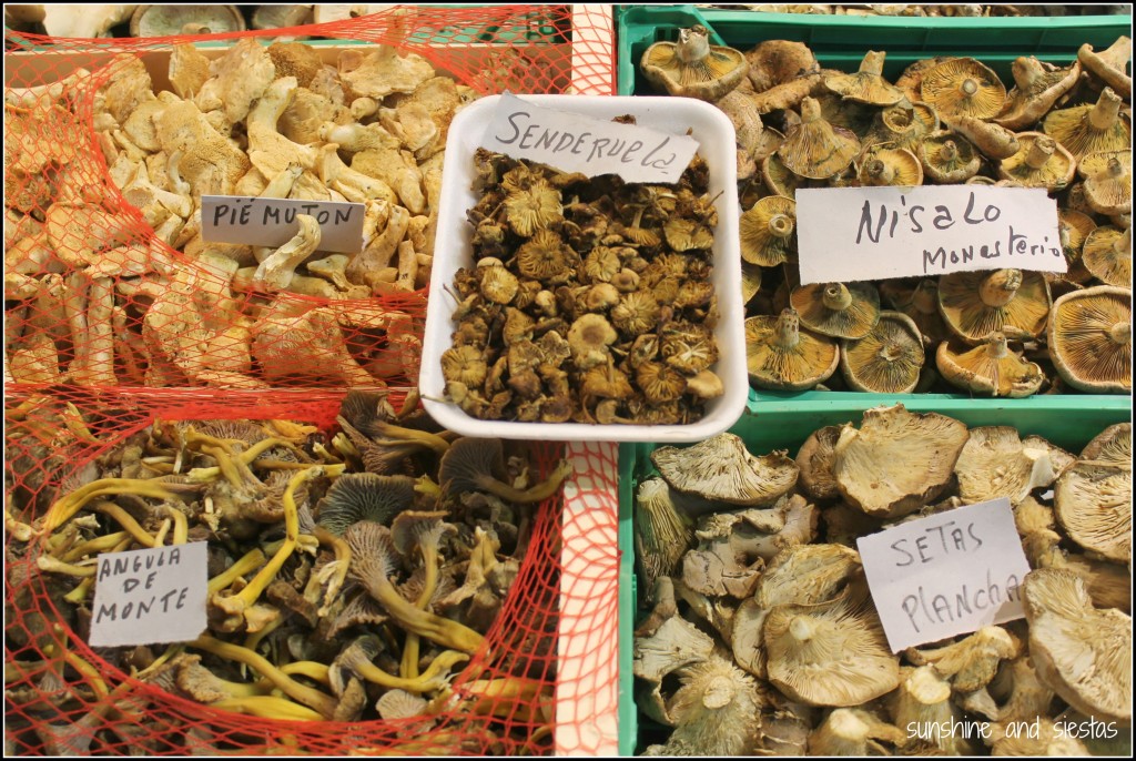 Winter food in Spain mushrooms and setas