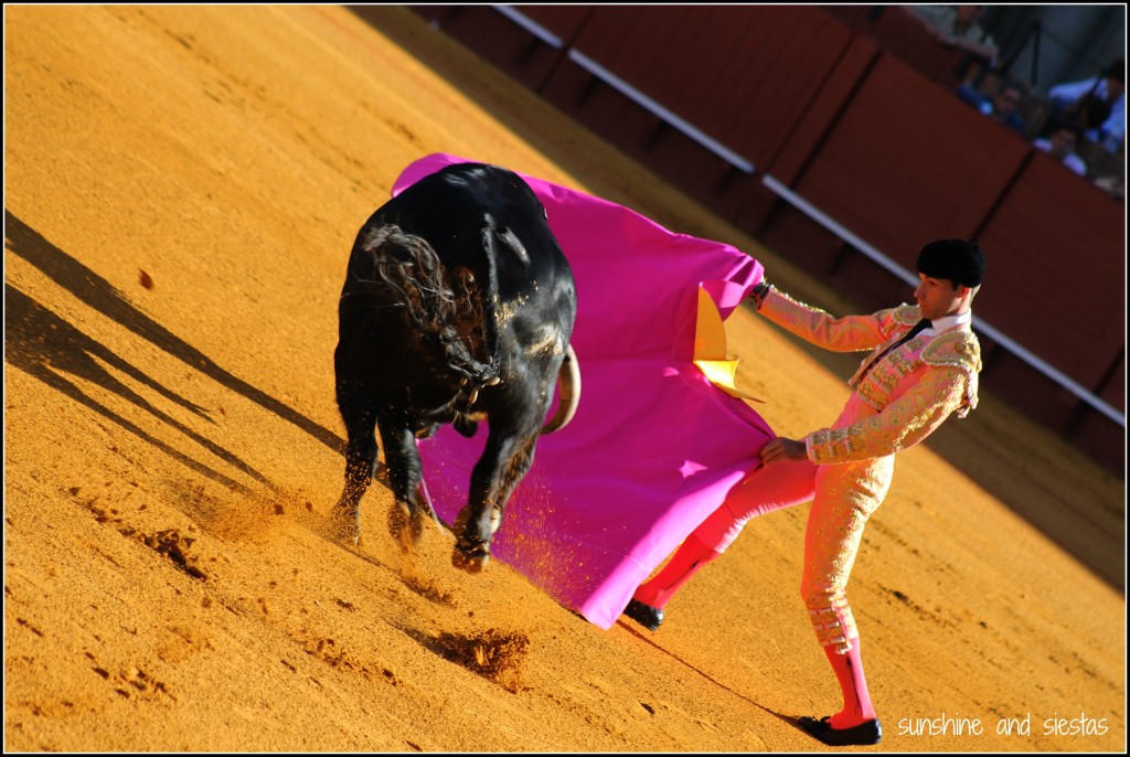 bullfighting in Seville Spain